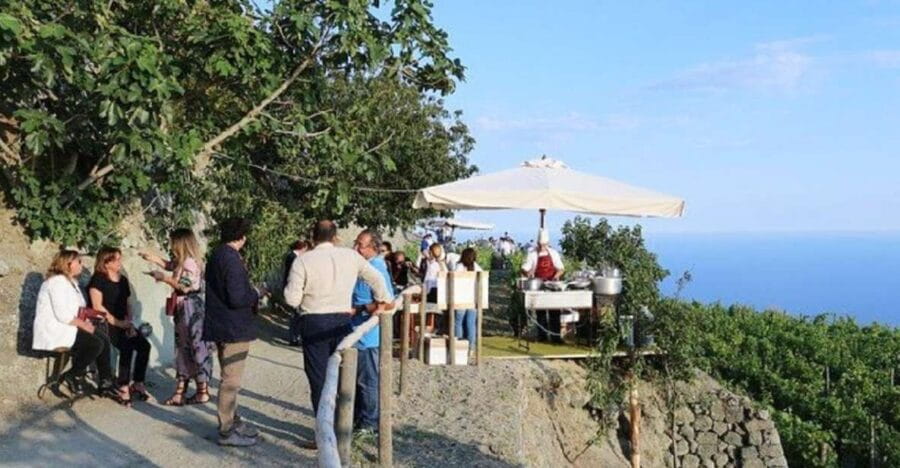 Ischia: Vineyard Tour & Wine Tasting Experience w/ Transfers - Who Will Love This Tour?