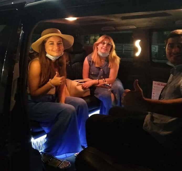 Istanbul City Tour: Private Car Hire with a Driver - What to Expect from Your Day in the City