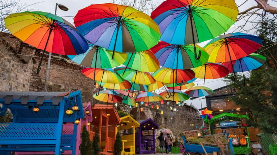 Istanbul: Colorful Fener & Balat Walking Tour w/Expert Guide - Who Will Love This Tour?