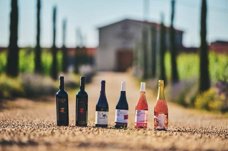 Istria: Pervino wine tasting - An in-depth look at the Pervino Wine Tasting Experience in Novigrad