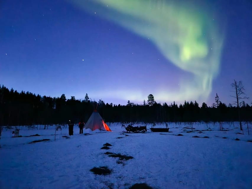 Ivalo: Northern Lights and Reindeer Farm Experience - Entering the Arctic: The Ivalo Reindeer Farm