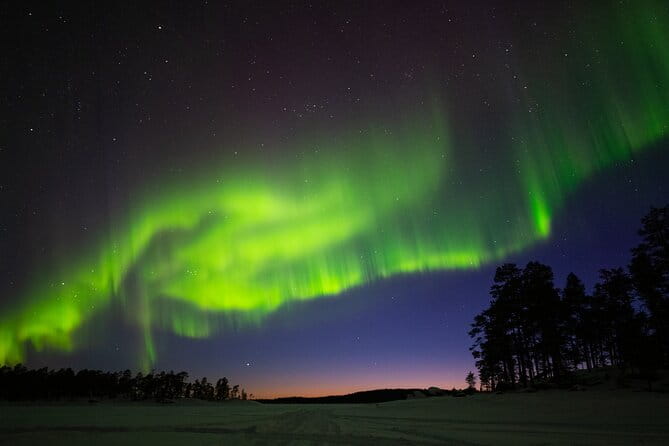 Ivalo: Wilderness Adventure by Snowmobile Sleigh - Food, Fires, and the Wilderness Atmosphere