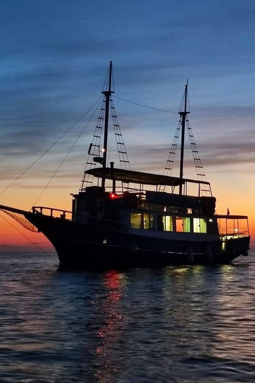 Izlet brodom iz Vrsara: Zalazak sunca i druenje s delfinima - Final Thoughts: Is It Worth It?