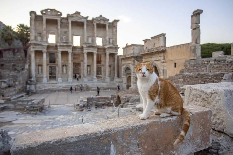 Izmir: Ephesus, Virgin Mary House & Artemis Temple Tour - Visiting the Virgin Mary House – A Sacred Stop