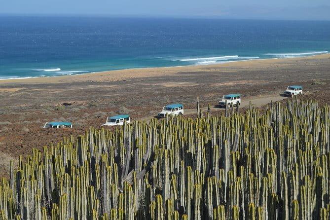 Jeep Tour to Cotillo and Northern Area of Fuerteventura - FAQ