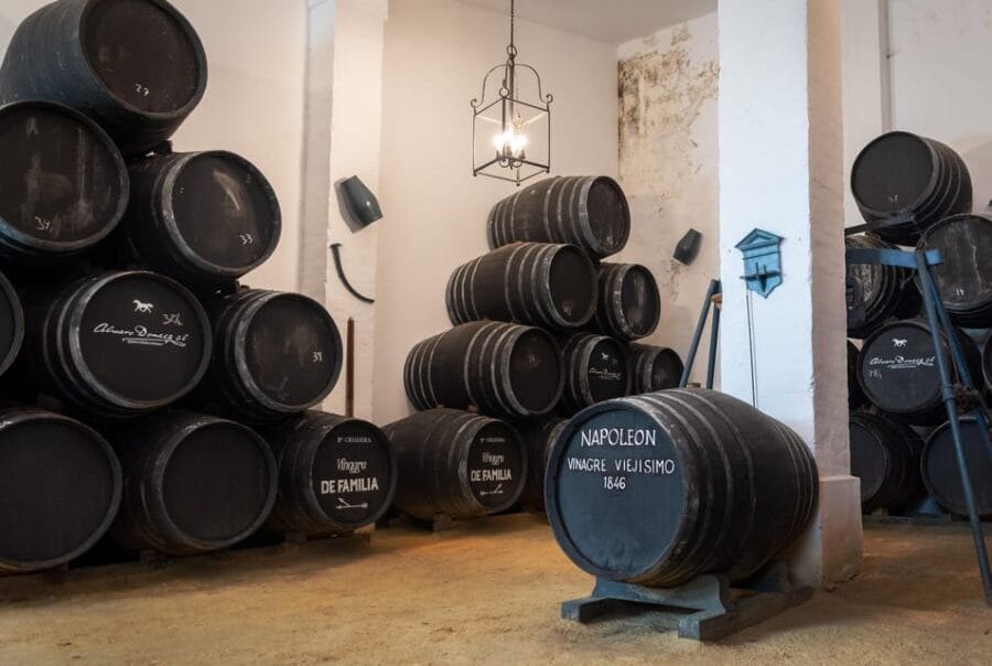 Jerez: Bodegas Álvaro Domecq Guided Tour with Wine Tasting - The Charm of a Family-Run Winery