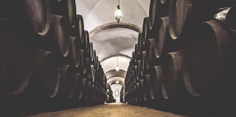 Jerez City Guided Tour and Winery Visit - Visiting a Historic Jerez Winery
