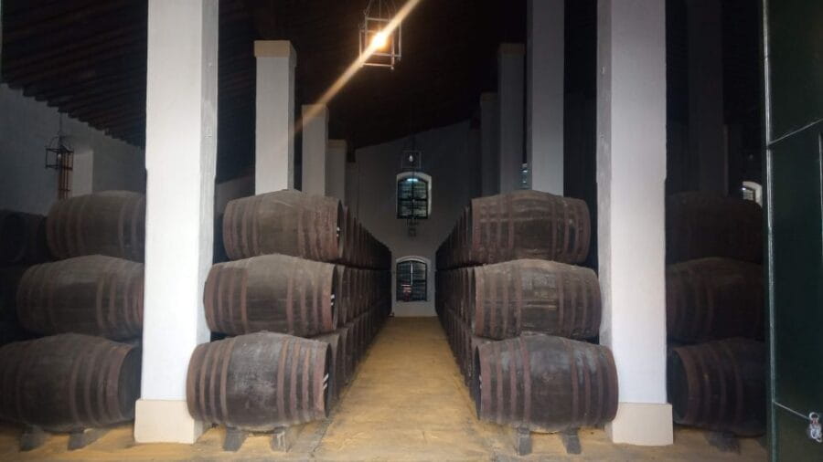 Jerez de la Frontera: Sherry Winery Tour with Tasting - Exploring the Winery: Barrels, Labels, and Microclimates