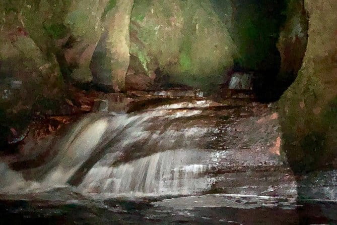 Join the Dark Side of Magical Nature - An Evening in the Shadows: What to Expect