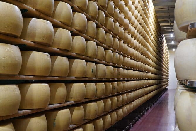 Journey through Italian Cheese - Entering the World of Italian Cheese at Formaggioteca Terroir