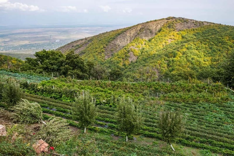 Kakheti's Contrasts: Faith & Fairytale, Bodbe & Sighnaghi - Who Will Love This Tour?