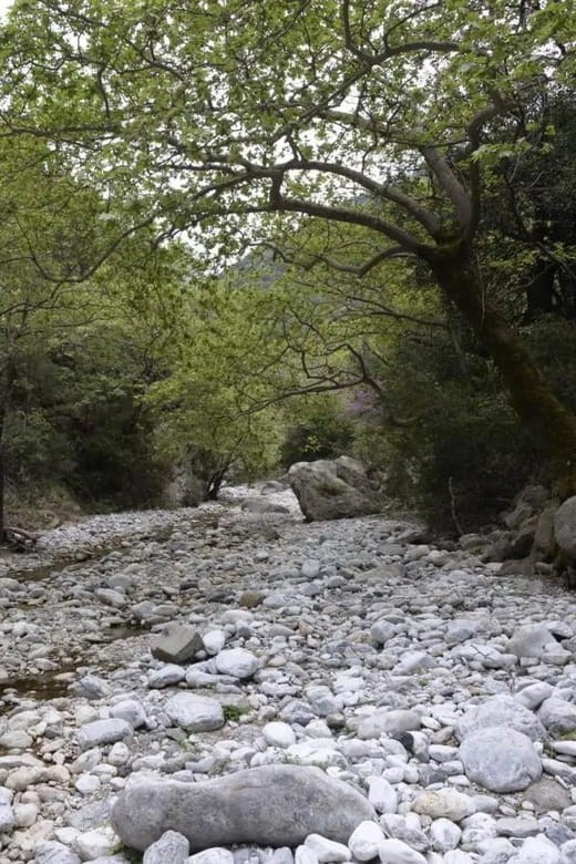 Kardamili : Hiking in Ridomo gorge - Guide and Group Experience