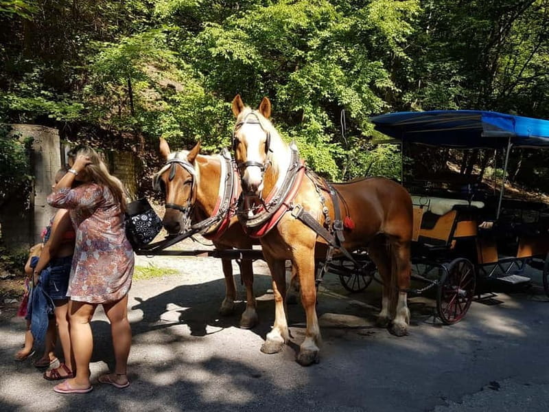 Karltejn and Big America quarry horse carriage tour - Inside the Tour: What to Expect at Each Stop