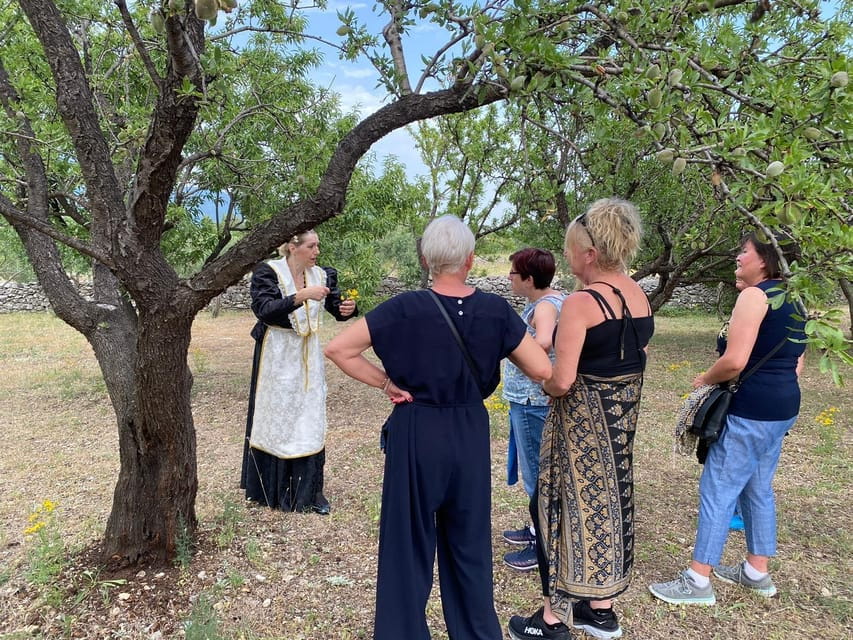 Kastela: Wine & Olive Tasting Tour w/Delicacies & Live Music - Who This Tour Suits Best