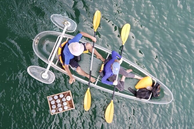 Kayak or Stand Up Paddle in Shkodra Lake and Buna River - Who Will Love This Tour?