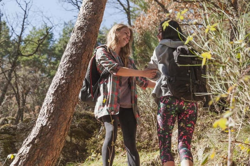 Kazbegi: Gveleti Waterfall Guided Hike - Price and Logistics