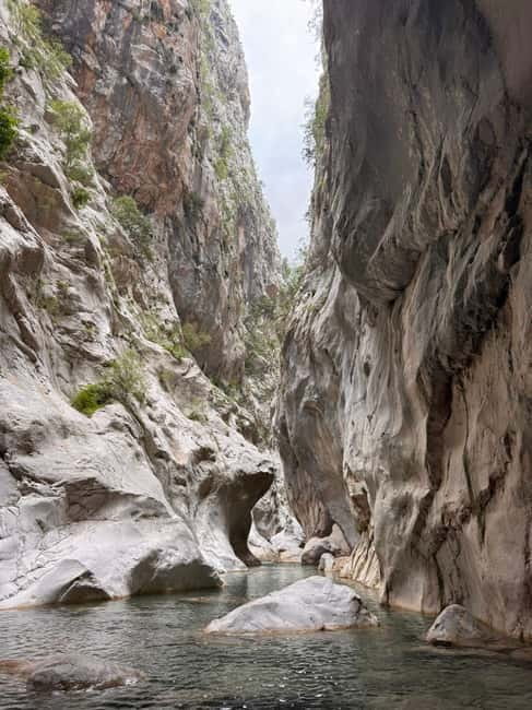 Kemer: Göynük Canyon Tour - Wildlife and Nature: A Quiet Encounter