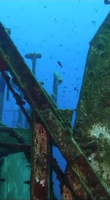 Kemer: Scuba Diving Experience in Aquarium and Kiris Bays - Final Thoughts: Is This the Right Choice?