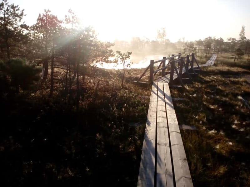 Kemeri National Park Bog Trail near Riga - The Natural Beauty of Latvia’s Kemeri National Park
