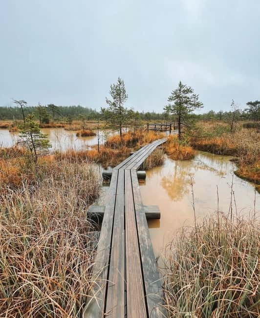 Kemeri National Park Guided Tour - Arriving at Kemeri National Park: A Landscape of Quiet Beauty