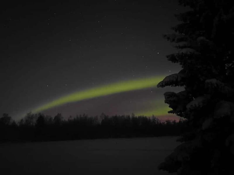 Kemi-Tornio: Evening campfire on the island - Price & Overall Value