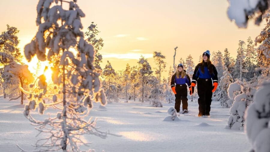 Kemi-Tornio: Nature tour with snowshoes - Discovering Local Wildlife & Nature