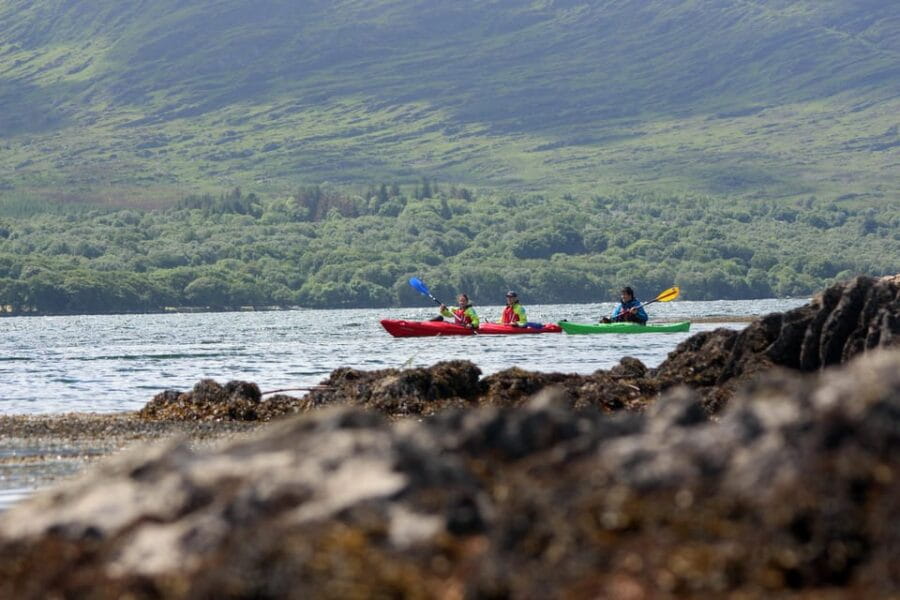 Kenmare Bay: Guided Kayaking Tour - No Wetsuits Required. - Logistics & Accessibility