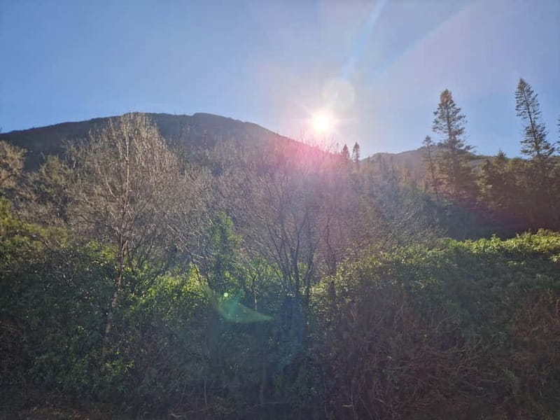 Killarney: Lakes Boat Tour, Meeting of the Waters - Setting the Scene: Starting Point at Ross Castle