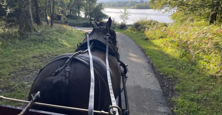 Killarney National Park Jaunting Car Tour - The Itinerary in Detail