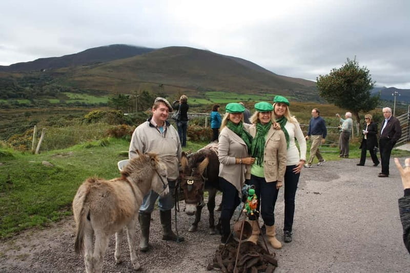 Killarney: Ring of Kerry Bus Tour - Exploring the Full Experience: A Deep Dive into the Ring of Kerry Tour