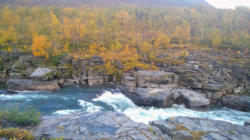 Kiruna: Abisko National Park Guided Day Tour with Lunch - Final Thoughts