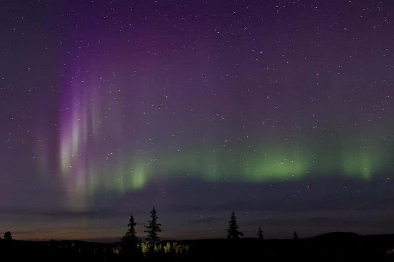 Kiruna: Northern Lights Dog Sled Tour with Swedish Fika - Price, Logistics, and What Matters