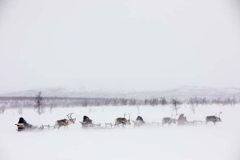 KIRUNA: Reindeer Sled Ride in the Countryside - FAQ