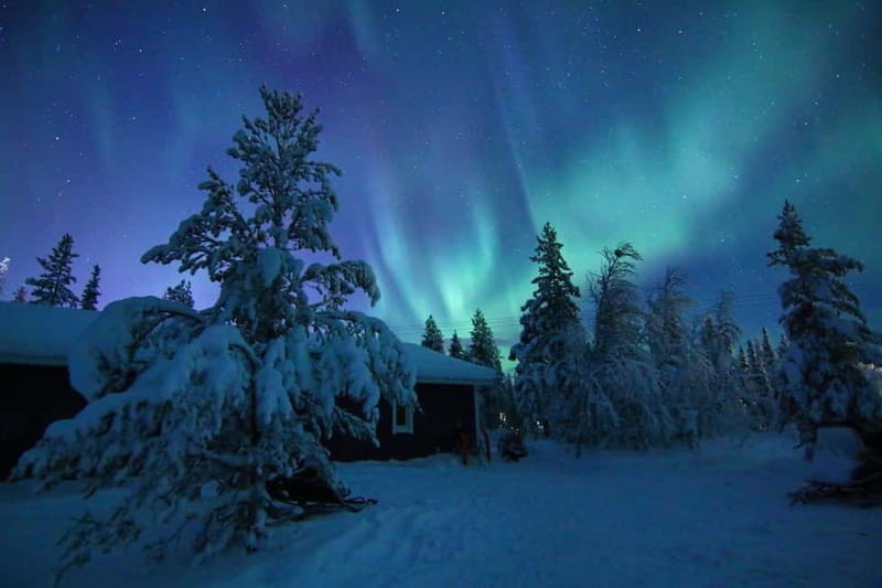 Kiruna: Snowshoe Trek with Aurora Hunt and Warm Beverage - The Experience in Detail: What to Expect from Start to Finish