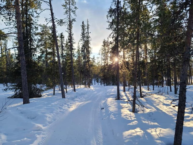 Kiruna: Snowshoe Trek with Warm Beverage and Sandwich - The Outdoor Break: Food and Views