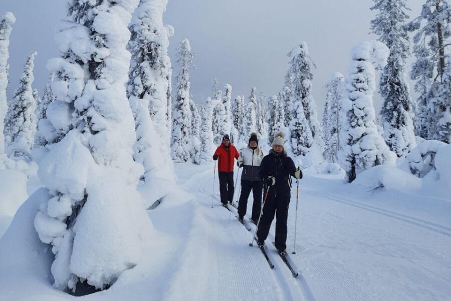 Kittilä: Lapland Levi Cross-country Skiing for Beginners - The Practicalities: Logistics and Details