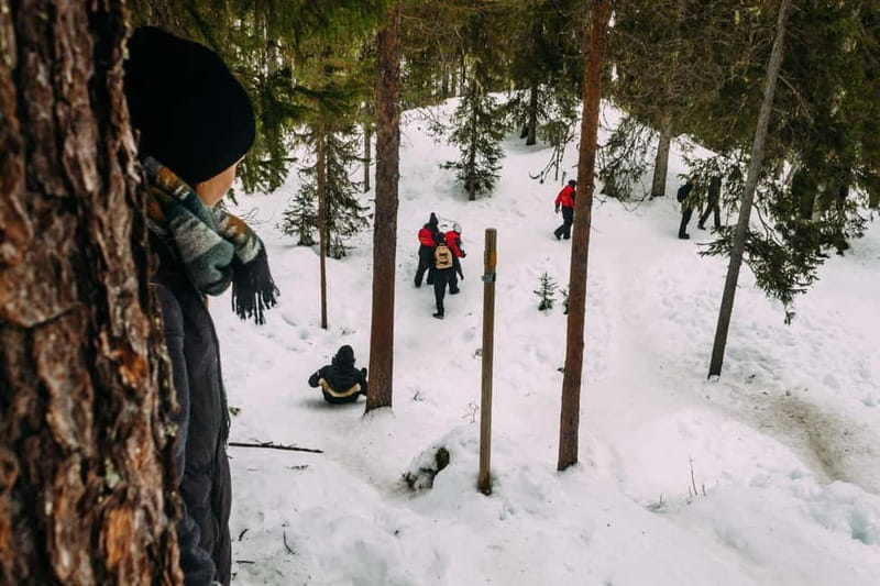 Korouoma Canyon: Frozen Waterfalls Hike & BBQ Experience - Learning About Finnish Wildlife and Customs