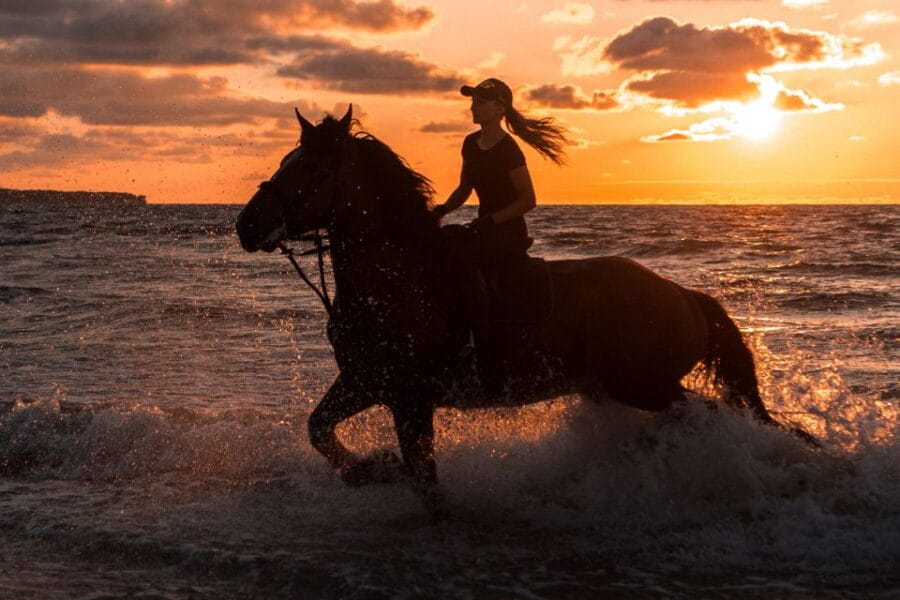 Kos: Horse Riding Experience on the Beach with Instructor - What to Expect During Your Horseback Ride in Kos