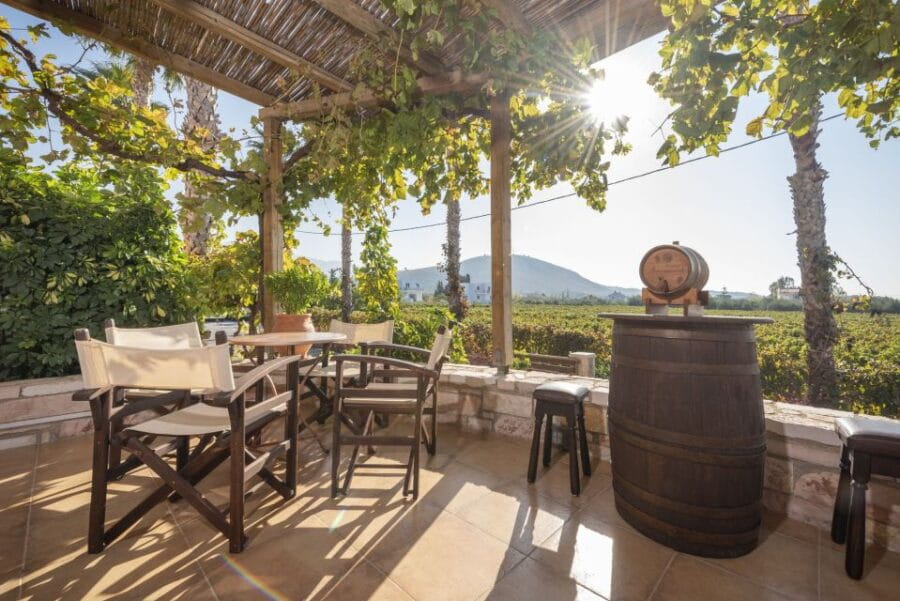 Kos: Wineries Tour w/ Wine Tastings & Transportation - Final Thoughts: Is It Worth It?