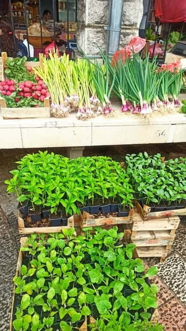 Kotor: 3H Food Tour - The Itinerary in Detail