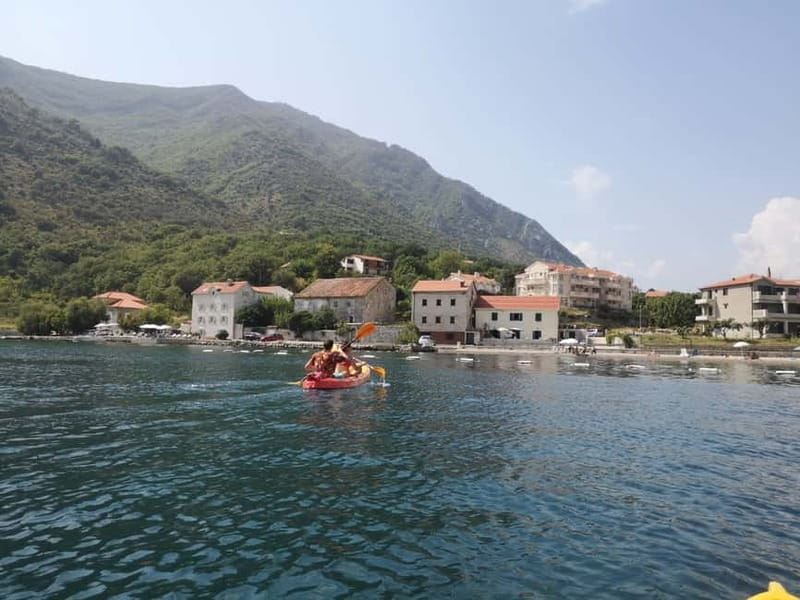 Kotor: Guided Kotor Bay Kayaking Tour - Who Will Love This Experience?