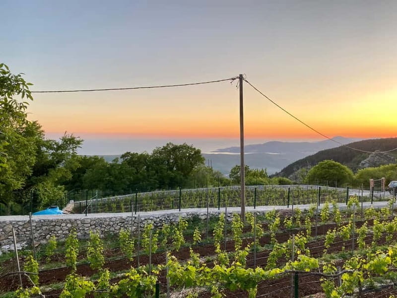 Kotor & Wine: Tasting the Charms Beneath Mount Lovcen - The Scenic Drive to Mount Lovcen’s Village