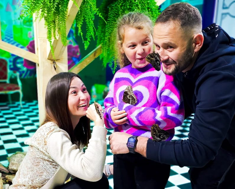 Krakow: Museum of Living Butterflies 2+2 - The Highlights: What You’ll Love