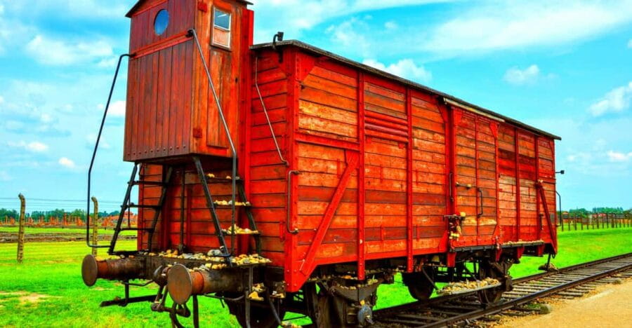 Krakow: Wieliczka Salt Mine and Auschwitz-Birkenau Tour - The Logistics That Matter: Transportation, Timing, and Comfort