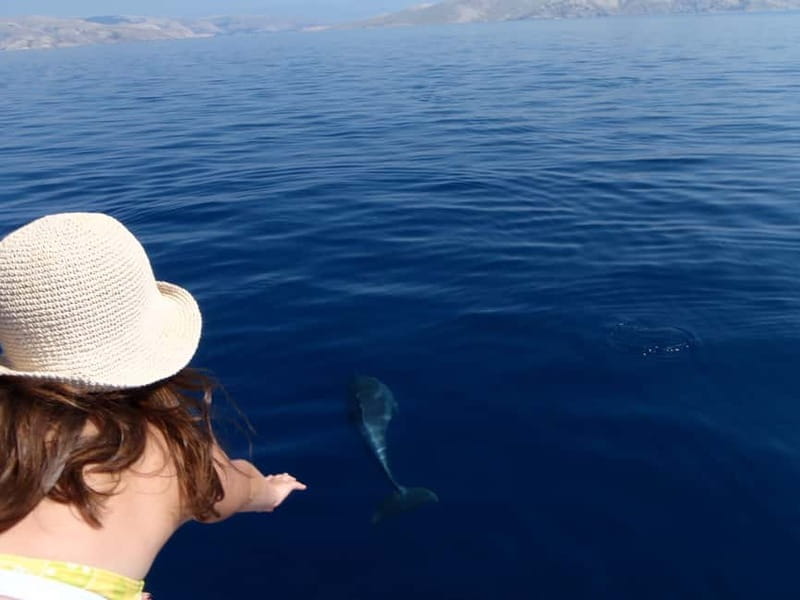 Krk: Boat Trip to Rab & Pag with Sightseeing & Swimming - Price and Logistics