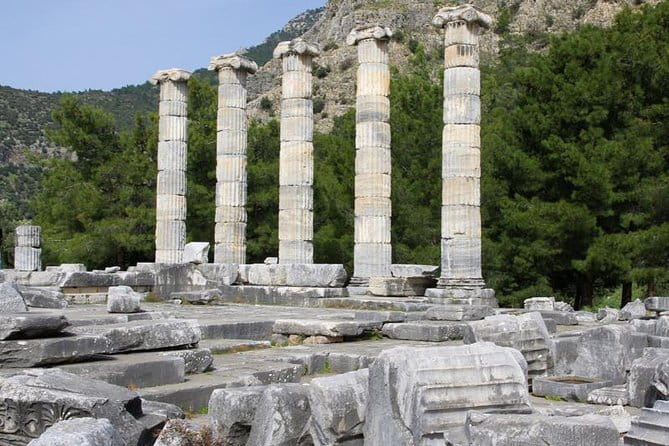 Kusadasi Port to Ephesus, House of Virgin Mary, Temple of Artemis - Who Will Love This Tour?