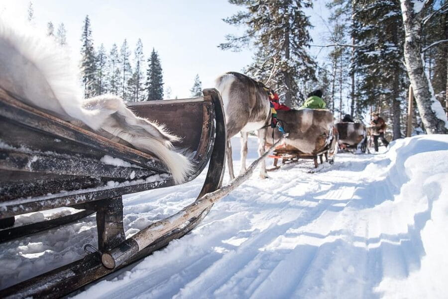 Kuusamo: Reindeer Sleigh Ride and Farm Visit - The Real Value of the Experience