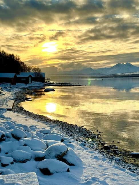 Kvaløya Island: Photography Tour with Snacks - What to Expect from the Photography Stops