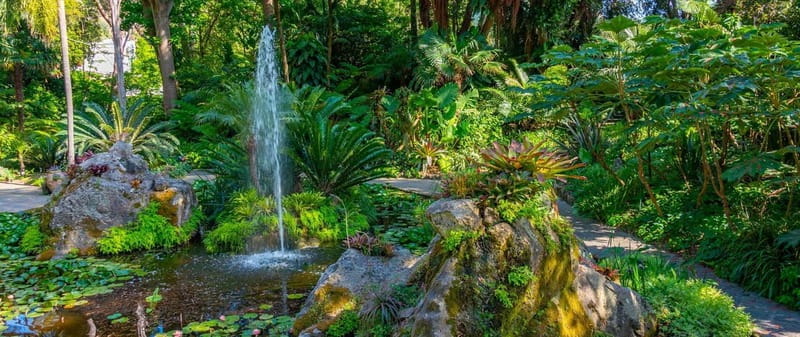 La Mortella Gardens excursion from Ischia - The Unique Charm of La Mortella Gardens