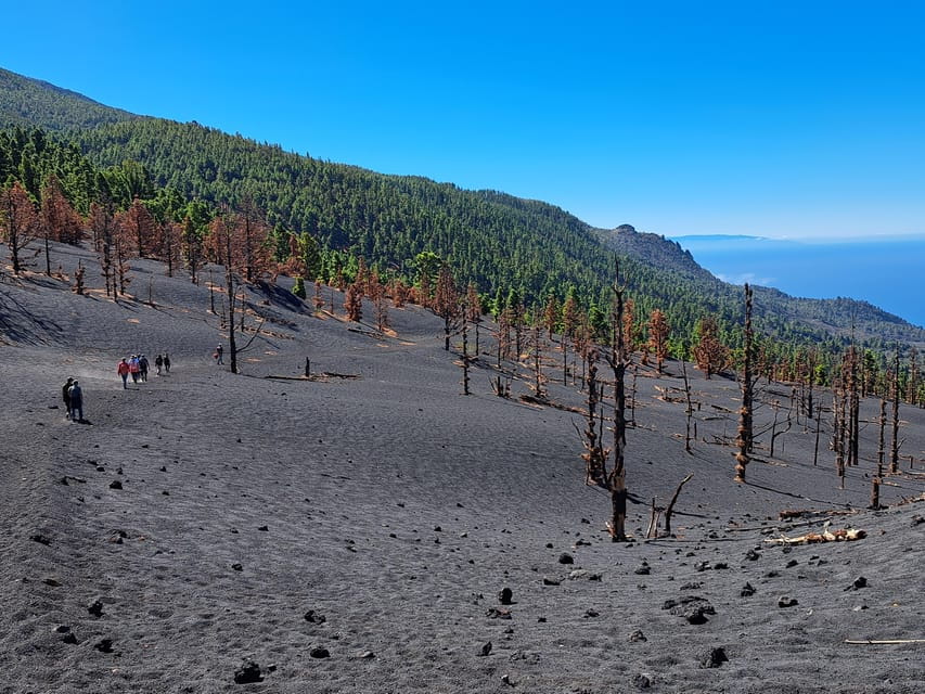 La Palma: Tajogaite Volcano Guided Trek - The Journey Through La Palma’s Volcanic Heart
